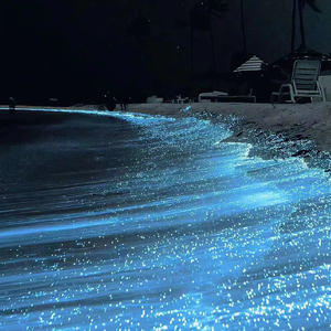 中国老女性乱伦视频
